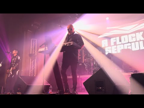 Space Age Love Song - A Flock of Seagulls LIVE at The Ritz Ybor, Tampa FL 1/14/2024