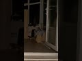 A REAL DEMON CAUGHT ON CAMERA RAW
