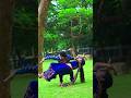 Beshi Ki Boli Jokhon Boli Bengali Song Shorts Youtubeshorts Dance