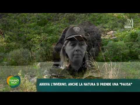 Siamo Noi (Tv2000) - In inverno anche la natura si prende una "pausa"