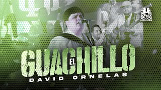 David Ornelas - El Guachillo [En Vivo]