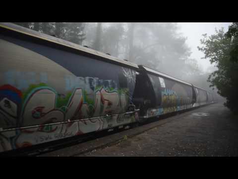 2184S  FQ04 ALF18 ALF20 FQ02 FQ01at a foggy Mt Lofty