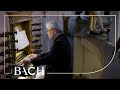 Bach - Partite diverse sopra: Christ, der du bist BWV 766 - Jellema | Netherlands Bach Society