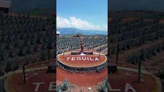 Music video thumbnail preview for Los Originales Columpios Extremos de Tequila 🙌🏻 #aventuras #atraccionesturísticas #paraisoazul by Maquahuitl