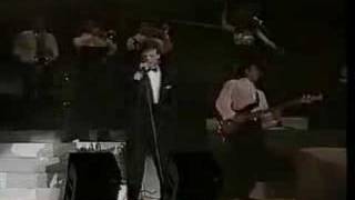 Luis Miguel - Alguien Como Tu (Oficial Romance 1992)