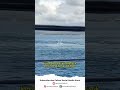 Mengapa Kapal Yang Menyebrang Dari Banyuwangi Ke Bali Atau Sebaliknya Tidak Langsung Jalur Lurus