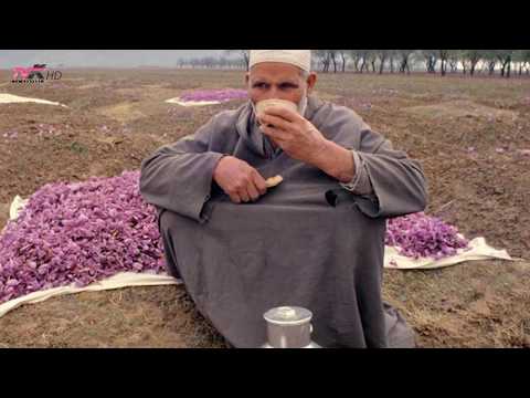 10. Copëza urtësie nga Kurani (Pirja e ujit ulur)