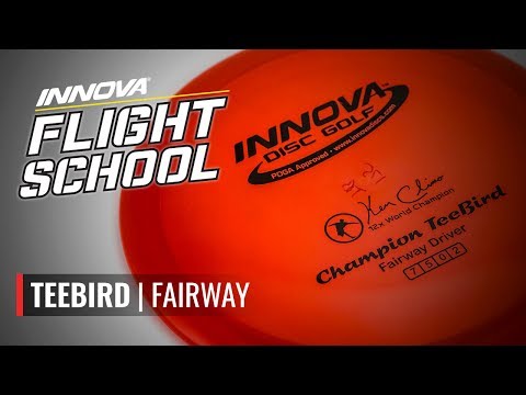 Innova Flight School: Teebird
