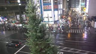 オノデンch【秋葉原ライブカメラ　Akihabara live camera】 live webcam
