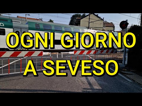 Ogni giorno a Seveso... (storia di 4 imprenditori e di un passaggio a livello)