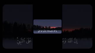 Download lagu Bacaan yang menenangkan oleh Syekh Ali Jaber😌🌹 #quran #bacaan #alijaber #surahahzab #deen #islam mp3