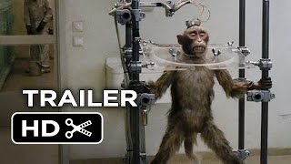 Video trailer för A Pigeon Sat on a Branch Reflecting on Existence Official US Release Trailer 1 (2015) - Movie HD