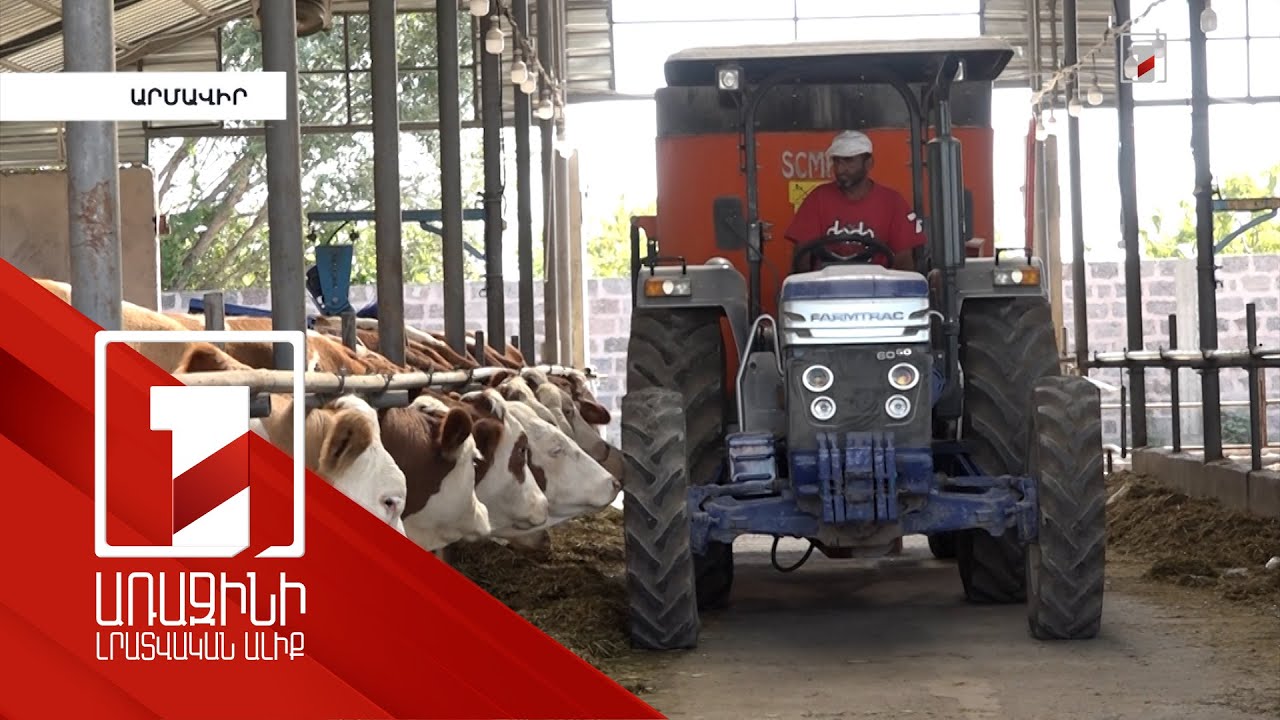 Երևանցի ընտանիքը պետաջակցությամբ Ապագայում անասնապահությամբ է զբաղվում