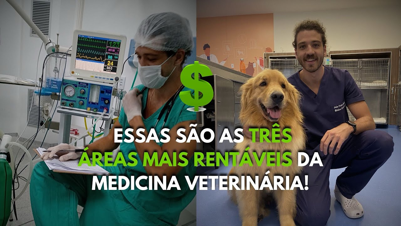 Top 3 áreas mais RENTÁVEIS da Medicina Veterinária! A primeira vai surpreender muita gente…