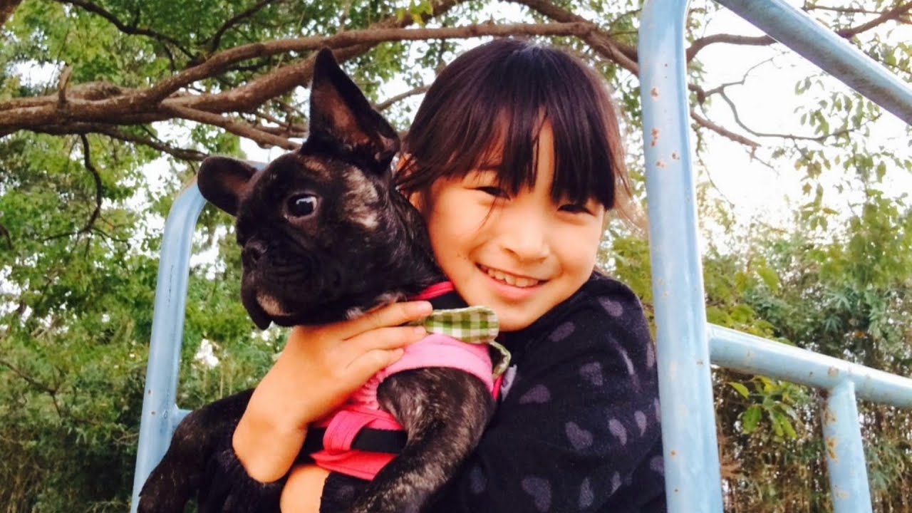 優里『レオ』/ covered by 可不