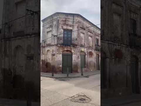 Organiza tours internacionales de turismo rural para mostrar al campo argentino