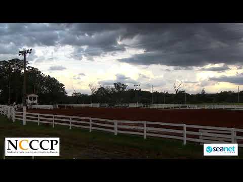 NCCCP 2022 - Prova de Campo