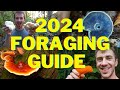 2024 Foraging Guide to Edible Mushrooms & Plants!