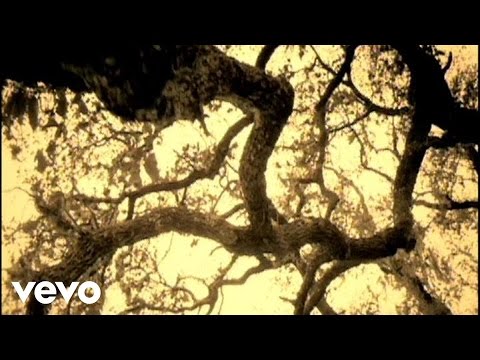Turn Out the Light - The New Amsterdams