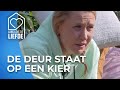 'Nee, het is geen liefde op het eerste gezicht...' ? | Lang Leve de Liefde #AFL167