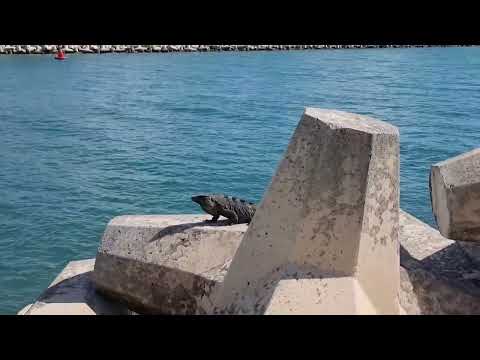 Cancun 4K Walking Tour