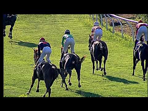 Galoppo 08/07/2020 - 2ª corsa