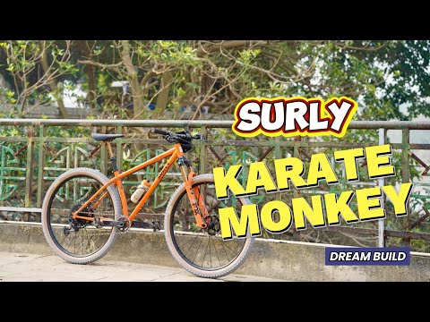 Dream Build - Surly Karate Monkey