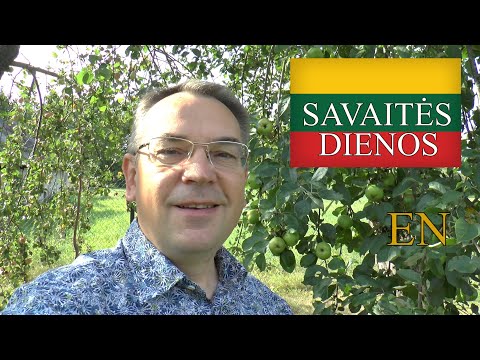 LITHUANIAN LESSON 167 - DAYS OF THE WEEK - SAVAITĖS DIENOS