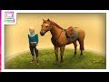My Horse And Me part 1 wii horse Game