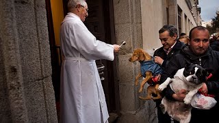 Weihwasser-Segen für Hunde und Katzen in Madrid