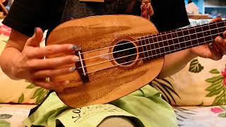 Sopranové ukulele s koncertní menzurou Big Island MP-SLS Pineapple