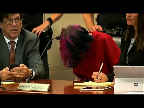 Charter school shooting suspect Devon Erickson has made his first court appearance, bowing his head during much of the proceedings with his dark hair streaked with purple covering his eyes. (May 8)