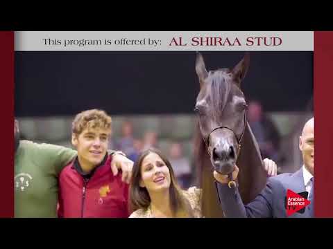 Full Run advertising