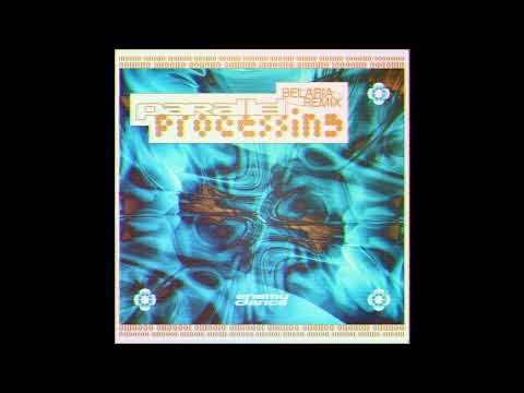 FEINSTOFF PREMIERE: Camion Bazar - Parallel Processing (Belaria Remix)