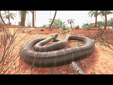 A Solo Snake On The Official Servers...