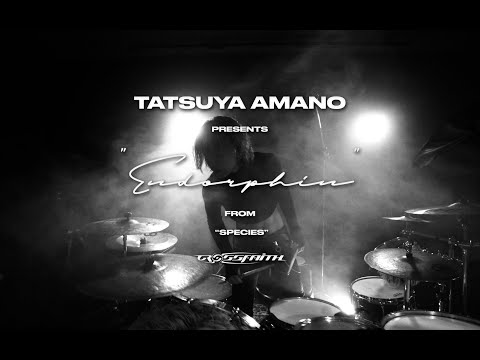 Crossfaith "Endorphin" Extreme Drum Playthrough