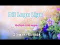 Dil Laga Liya Slowed And Reverb Lofi Pbmp3collection