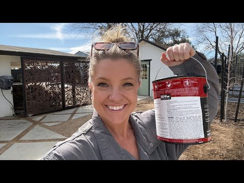 Painting Day! At Least It’s a Good Start 😉