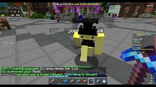Rock Pet Glitch (Hypixel Skyblock)