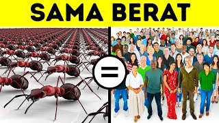 Download lagu 65 Fakta Unik yang Bisa Membuatmu Terlihat Cerdas mp3