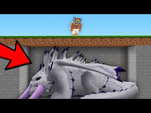 THIS IS HOW I HID MY ALPHA DRAGON FROM EVERYONE