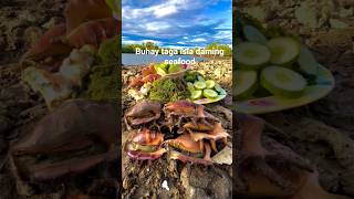 Download lagu #mix seafoods yummy #shortvideo mp3