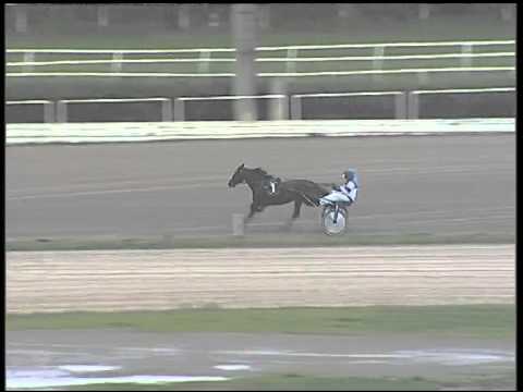 Trotto 05/03/2015 - 2° prova di riqualifica