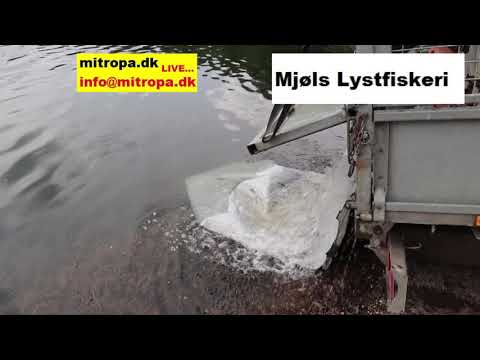 Mjøls Lystfiskeri – Læssefejl