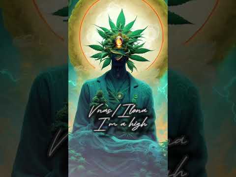 Vnas-Ilona - Im a high (new2023)
