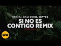 Si No Es Contigo Remix Cris MJ X Kali Uchis X Jhayco Video Lyric