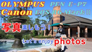 ～カメラ始めて約1年半、初心者奮闘中！～　マーサーボタニックガーデン 　KK Feel-good