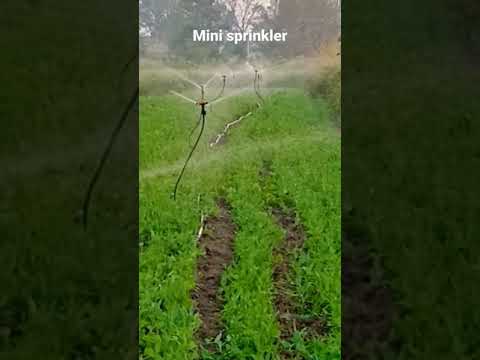 Mini Sprinkler