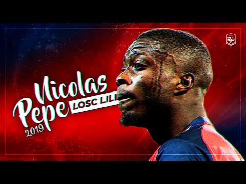 Nicolas Pépé 2019 - INSANE Skills & Goals | HD
