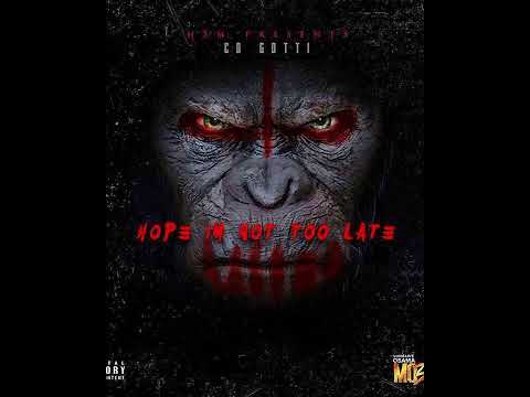 CoGotti x T Rell  - LLOSAMA [remix] ( Official Audio )